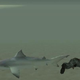 Image for article titled Remembering The Sad Sharks And Dolphins Of GTA San Andreas